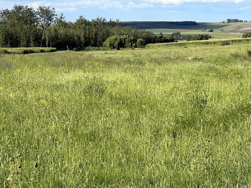 0 Bedroom Property for Sale in Bethlehem Rural Free State